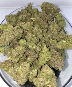 Blueberry Muffin Strain uk