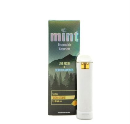 MINT Tango Tangie 1100mg THC Disposable Vape Pen