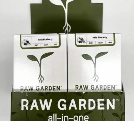 RAW GARDEN DISPOSABLE